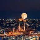 연 행정사 사무소 이미지