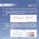 디아이텍
