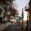 광장복어 이미지