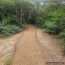 청주 백화산 등산코스 및 공영주차장 위치 맨발 등산하기