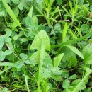 청도천7 이미지