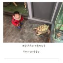 (주)타임파크 | 포천 아이와 가볼만한곳 실내동물원 주파크 내돈내산 이용 후기