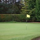 그린파크 스크린 골프 이미지