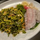 광어생각 이미지