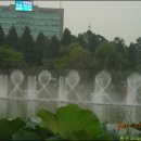 달그림자공원 이미지