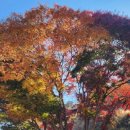 체육소공원 이미지