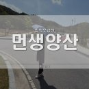 암막우양산 하나면 햇살, 소나기 걱정 끝! 먼생양산 솔직후기