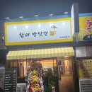 갔다가 넷이 배터지고 나오는 용봉동 술집 비엔날레 맛집 &lt;참새 방앗간 비어&amp;포차&gt; 추천 메뉴 가격 후기