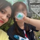 성진파크 | 데이식스 콘서트 포레버 영 다녀온 후기