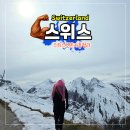 루트6 - 성남시 분당구 벌말로40번길 4-1 | 스위스렌트카 6박 후기 비용 루트 주의 사항 총정리