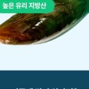 본아페티 이미지