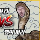 용의꼬리 이미지