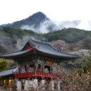 구례숯불갈비 이미지