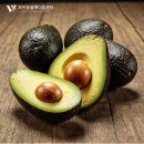 제주동물메디컬센터 이미지