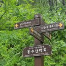 구봉산 도등 이미지