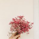 뉴캐슬아파트 이미지