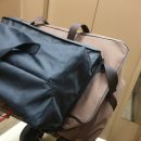 금광농원 | 안성 캠핑장 금광관광농원캠핑장 2박랜덤사이트 후기