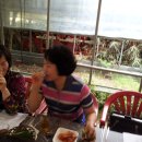 장군의땅 이미지