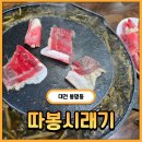 [대전] 차돌과 시래기 조합이 신선한 대전 맛집 따봉 시래기 봉명점 본점 내돈내산 솔직 후기