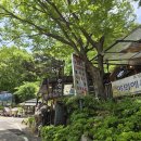 건강담은통나무 | [완주 맛집] 대둔산 케이블카 타고 즐기는 30년 전통의 ‘산산산’ 후기