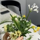 (11/15)플라워박스 꽃꽂이 | 경주 원데이 클래스 꽃꽂이 황리단길 디파도 화병 꽂이 후기