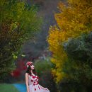 임고서원의 은행나무 이미지