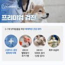 체크업동물병원 이미지