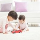 새광명행정사 이미지