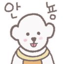 허니모모 애견미용실 이미지