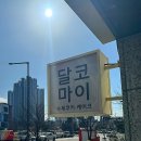 달코마이 이미지