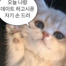 유어카페