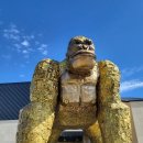 비데랜드(주) 이미지