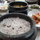 즐거오락