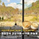 하늘꽃 | 🌿 도심 속 자연감성카페 | 통창뷰가 예쁜 ‘카페 하늘꽃’ 하늘꽃크림라떼 후기