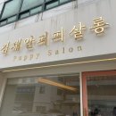 퍼피살롱 이미지