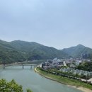 솔솔솔도토리숲 네이버블로그
