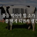 내장축산 네이버블로그