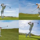 에코바이옴 이미지