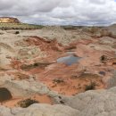 버밀리언 이미지