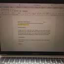 팜스발리 이미지