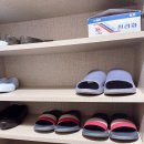 솔향기펜션 | 촌캉스 독채펜션 추천 방3개 화장실2개 애견동반가능 장흥 솔향기