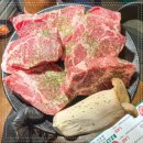 장미축산 이미지