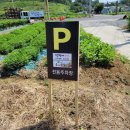 정현대한우곰탕 | 대구근교나들이:정현대한우곰탕식육식당(feat.고령여행)