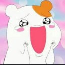 금실주단 이미지