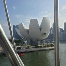 아트사이언스 | 마리나 베이 샌즈(Marina Bay Sands)에 위치하고 있는 아트사이언스 뮤지엄에 다녀온 후기(with 에피소드)