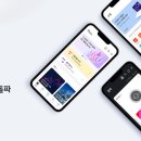 27 이미지