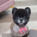 미용타운 이미지