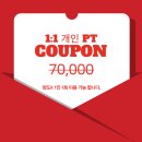 팀보노 이미지