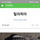 신령역돔양어장회 네이버블로그