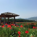 상림화원 이미지